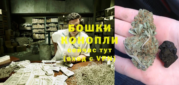 соль ск Белокуриха