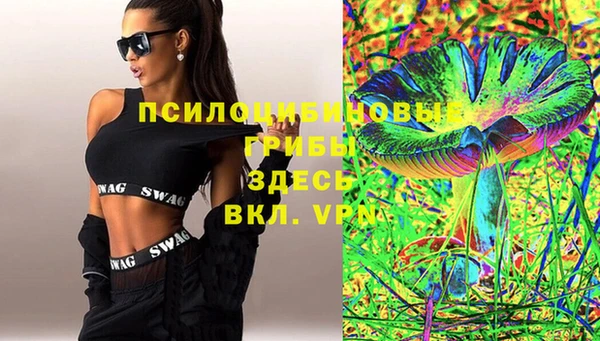 ГАЛЛЮЦИНОГЕННЫЕ ГРИБЫ Великий Новгород