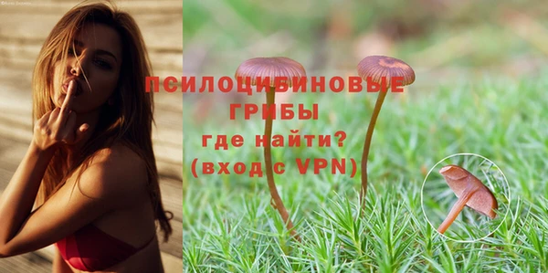 соль ск Белокуриха