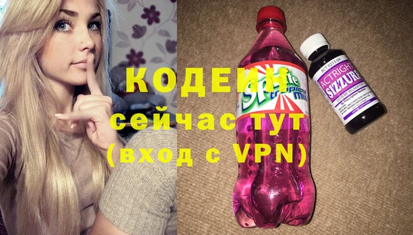 соль ск Белокуриха