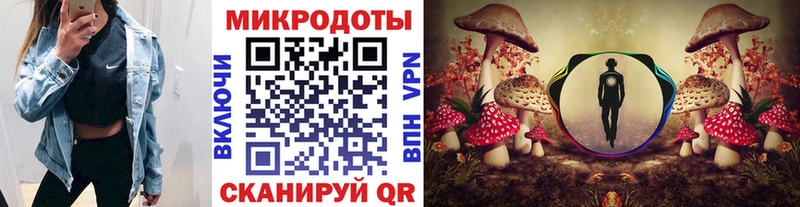 Галлюциногенные грибы GOLDEN TEACHER  купить наркотики цена  Билибино 